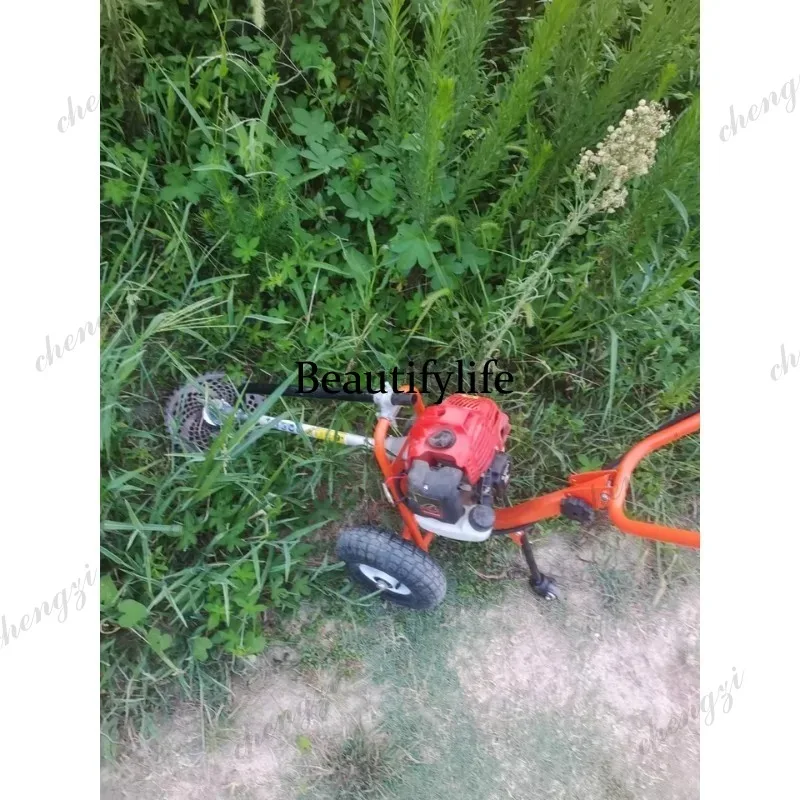 Mesin pemotong rumput dorong L - Gardening Tools Cutter ulasan dan harga