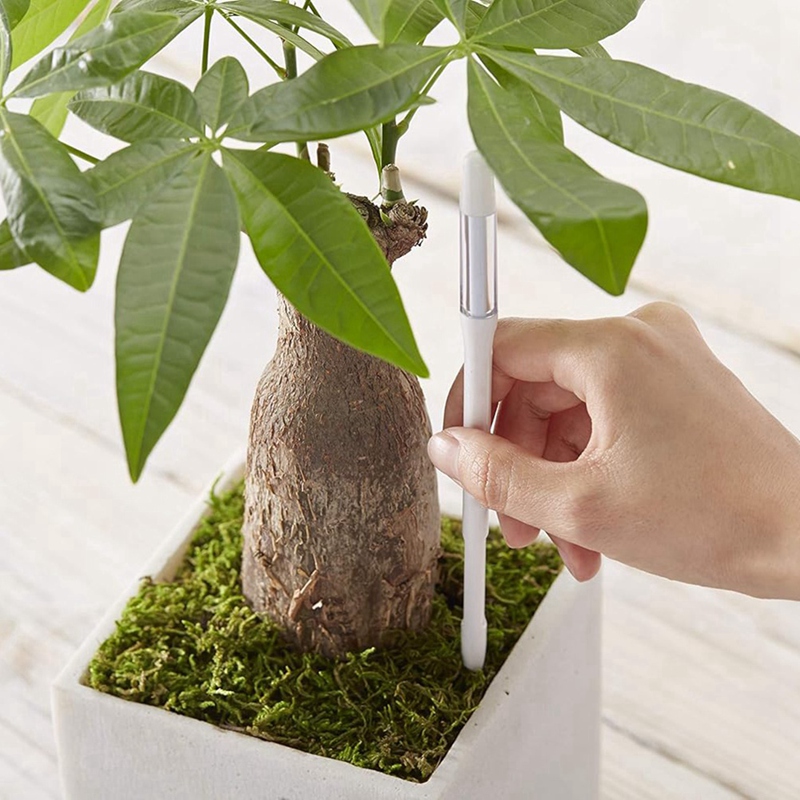 Aquameter, 5 Buah, Sensor Kele - Moisture Meter Plant ulasan dan harga
