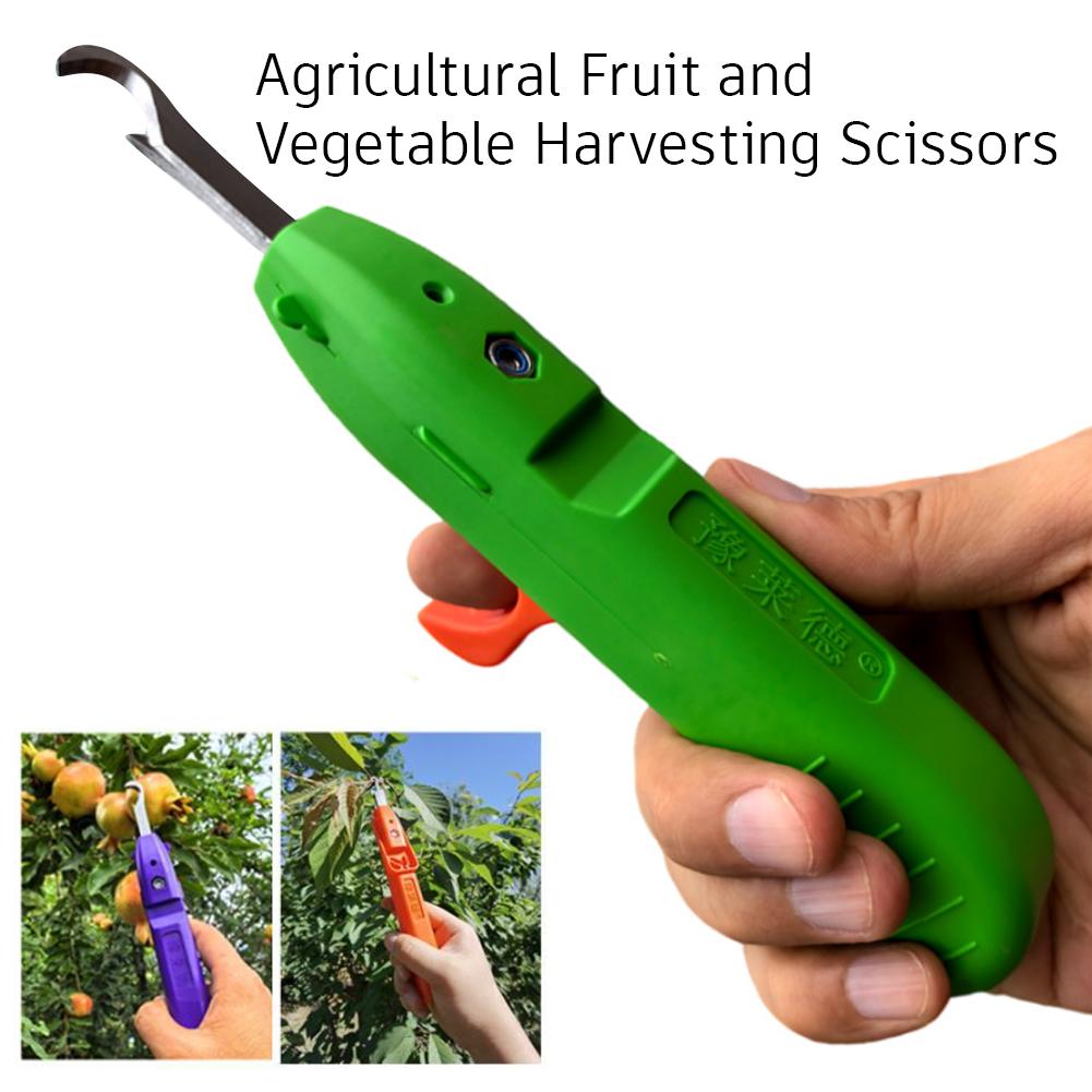 Alat Pemetik Buah Pegangan Tan - Gardening Tools Cutter ulasan dan harga