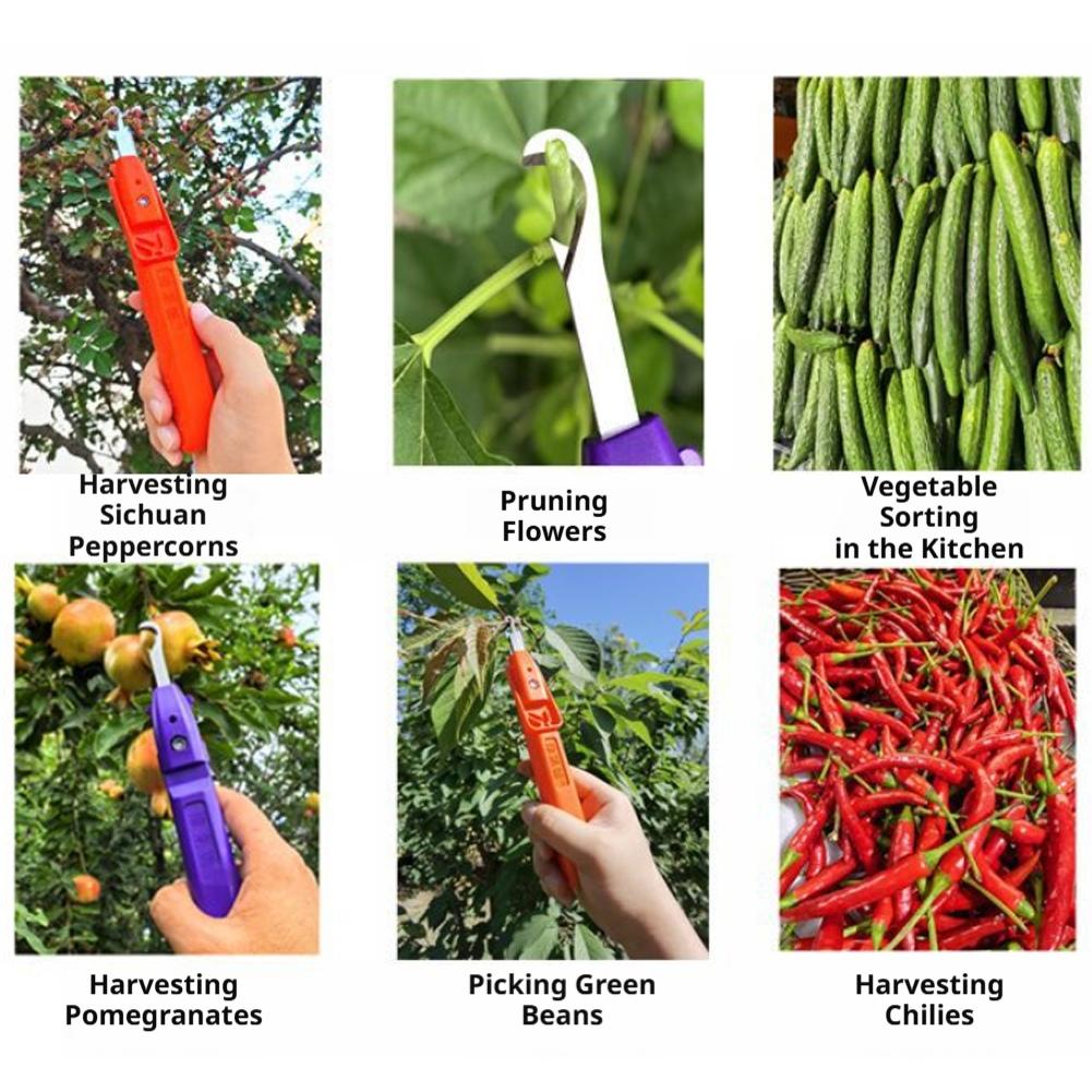 Alat Pemetik Buah Pegangan Tan - Gardening Tools Cutter ulasan dan harga