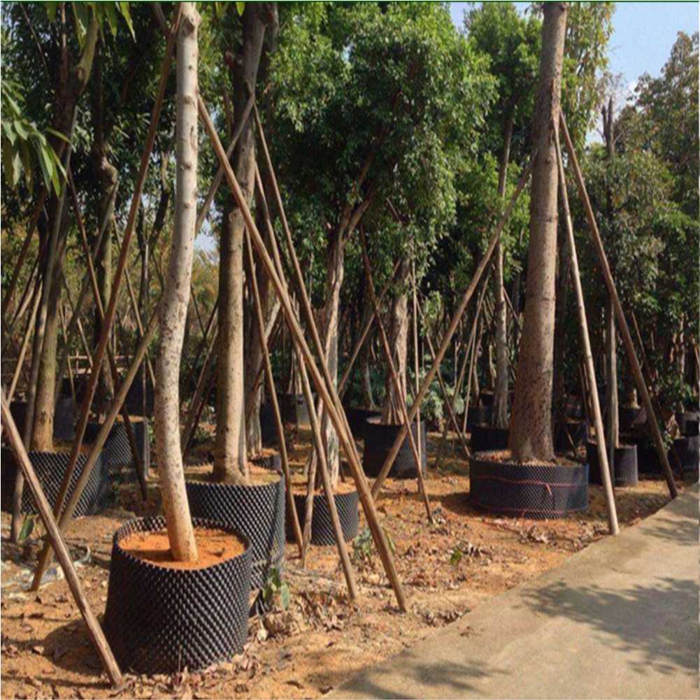 Alat Transplantasi Tanaman Bon - Gardening Tools Of ulasan dan harga
