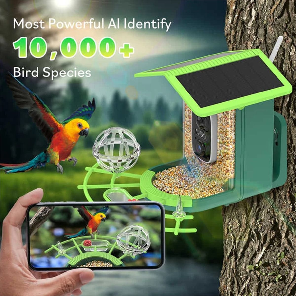 Kamera Pengumpan Burung Pintar - Gardening Tools Video ulasan dan harga