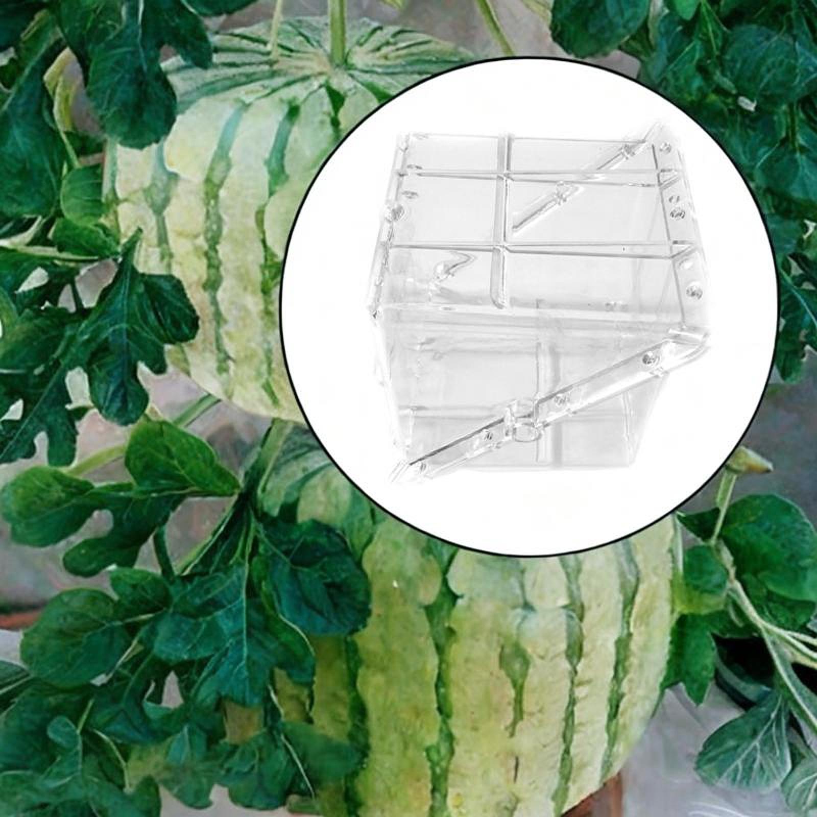 Peralatan Cetakan Pertumbuhan  - Gardening Tools Unique ulasan dan harga