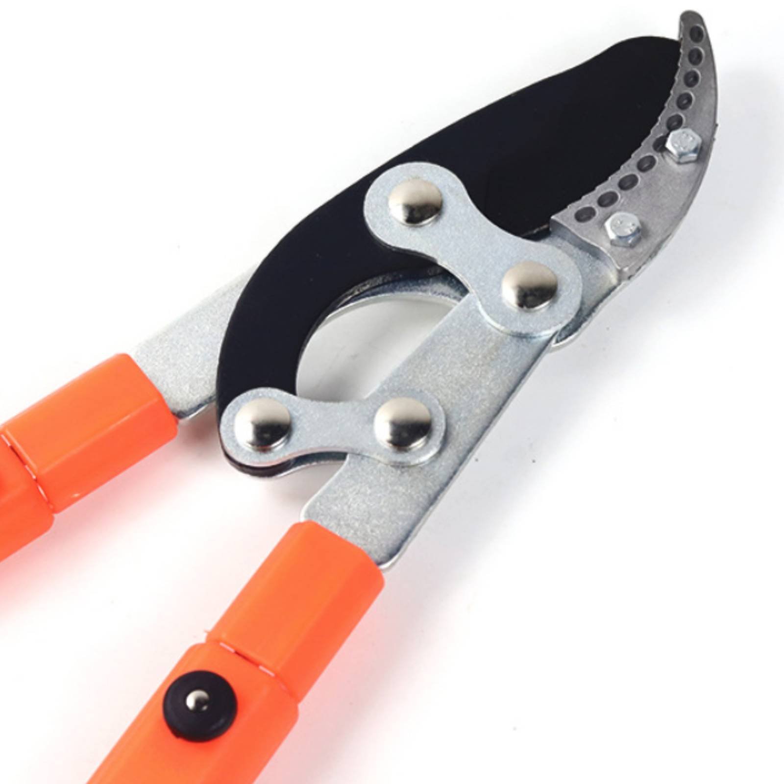 Pemangkas Cabang Teleskopik Pi - Gardening Tools Of ulasan dan harga